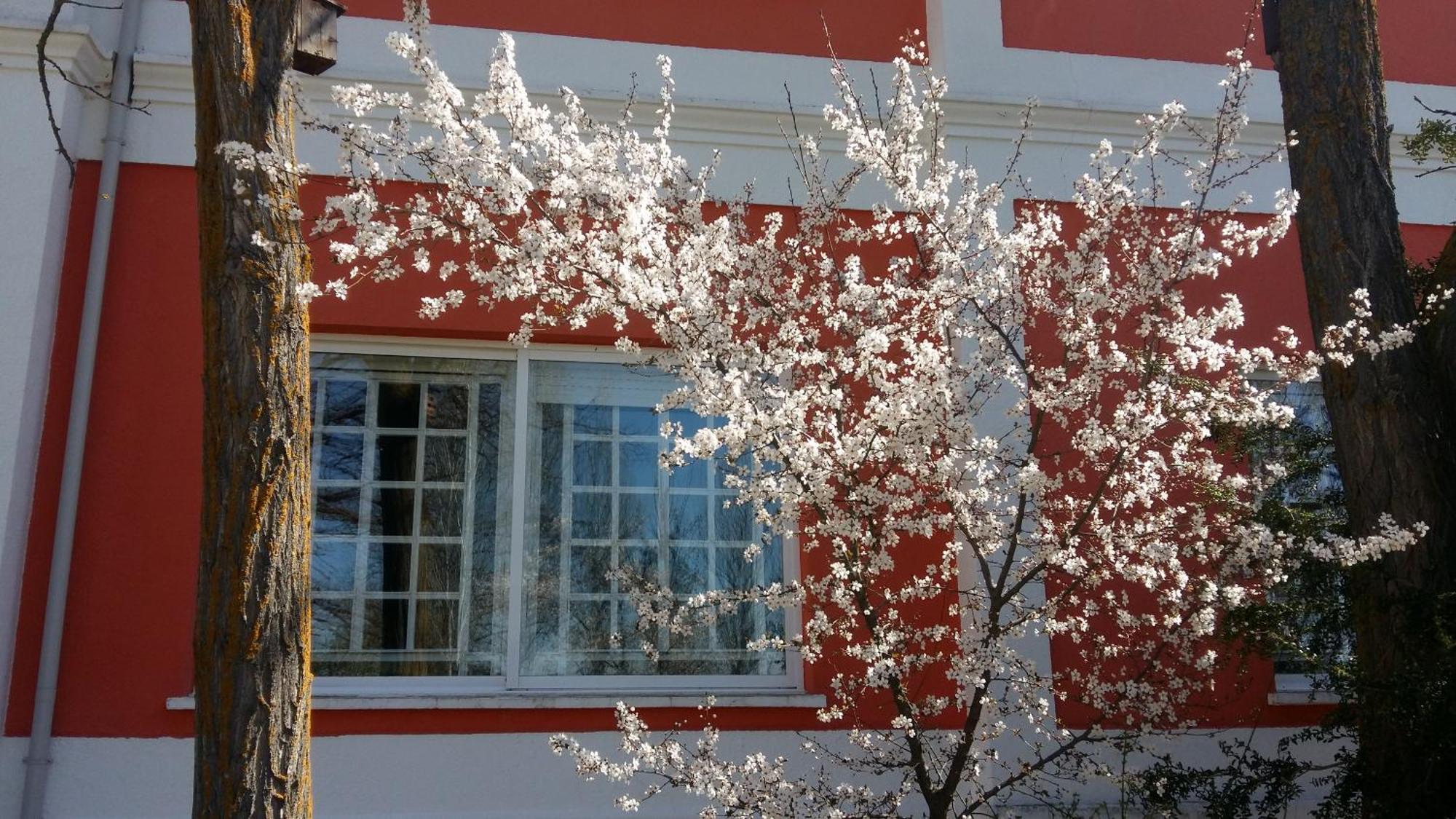 Quintanas de Gormaz La Casa Grande De Gormazヴィラ エクステリア 写真