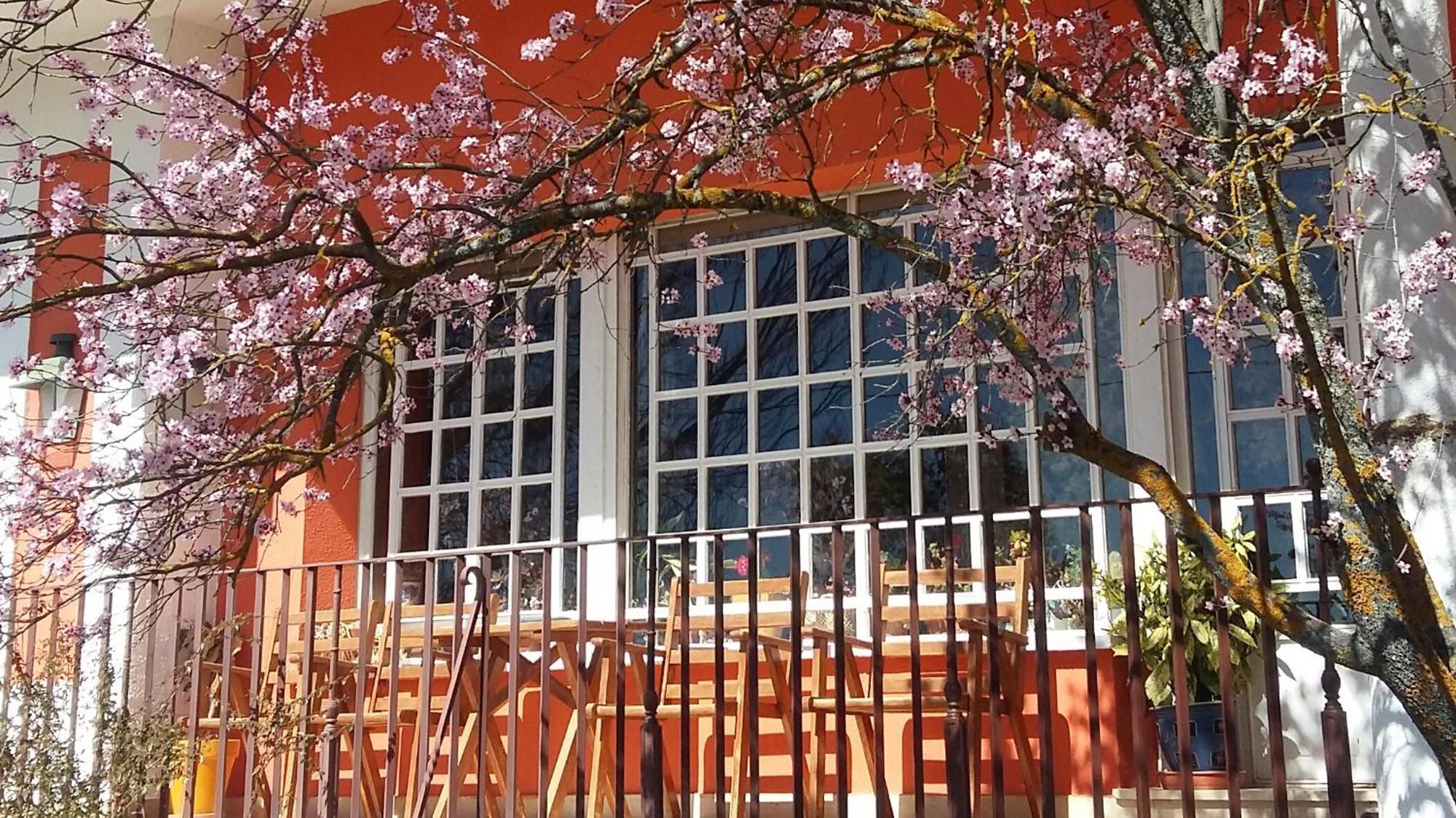 Quintanas de Gormaz La Casa Grande De Gormazヴィラ エクステリア 写真