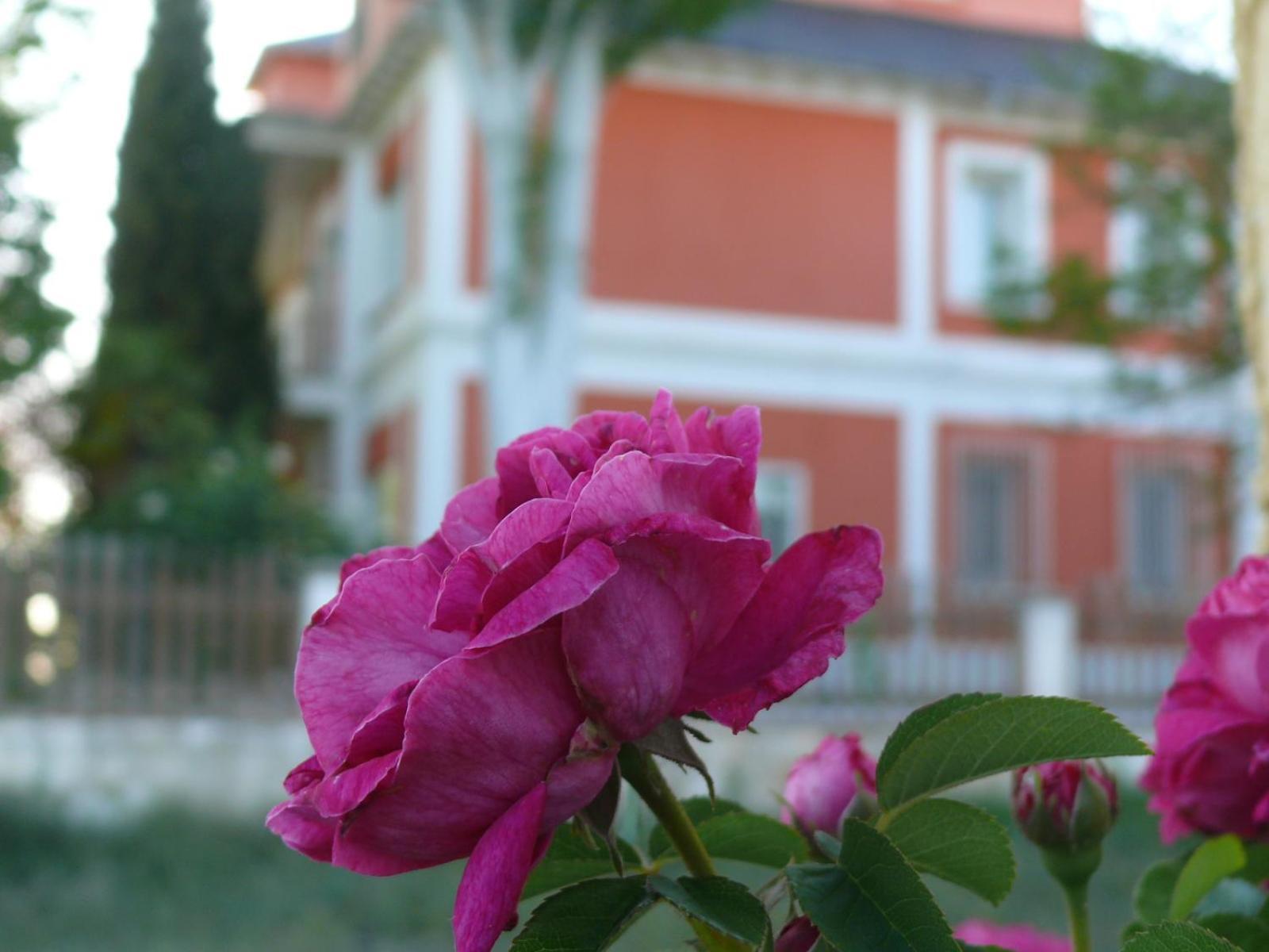 Quintanas de Gormaz La Casa Grande De Gormazヴィラ エクステリア 写真