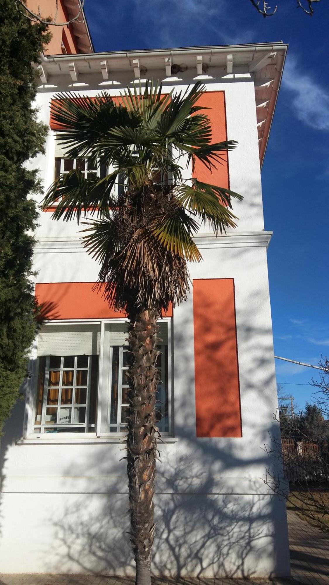 Quintanas de Gormaz La Casa Grande De Gormazヴィラ エクステリア 写真